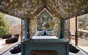 Area Synest Nature Suites